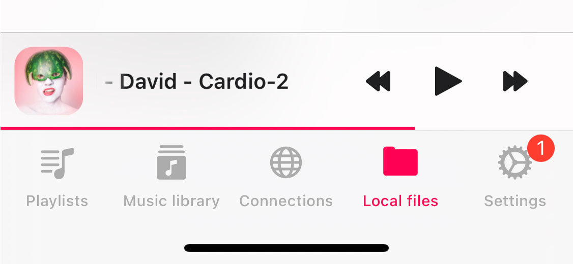evermusic mini player on iphone