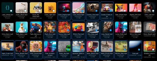 File Manager