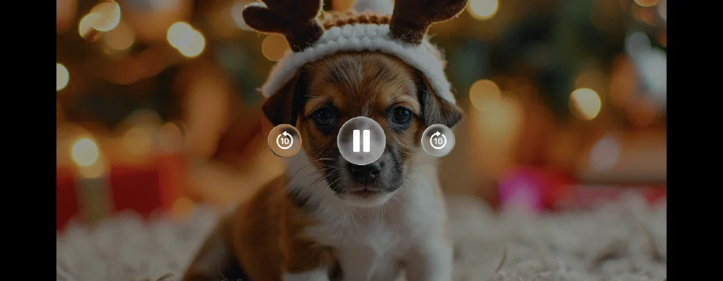 Play In the App
