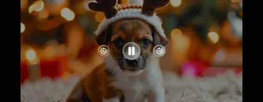 Play In the App