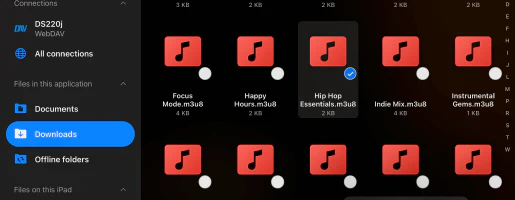 File Manager