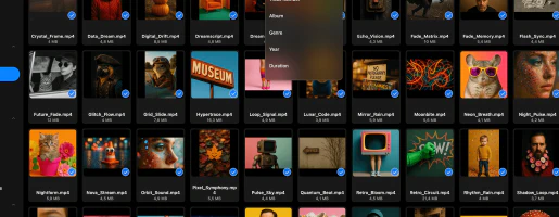 File Manager